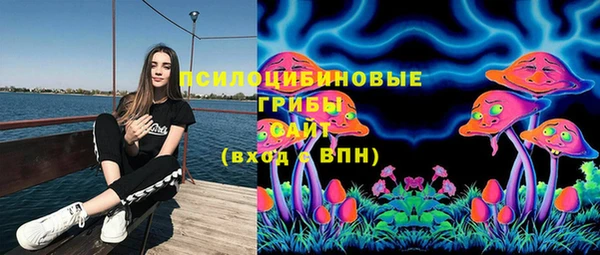 Альфа ПВП Михайлов